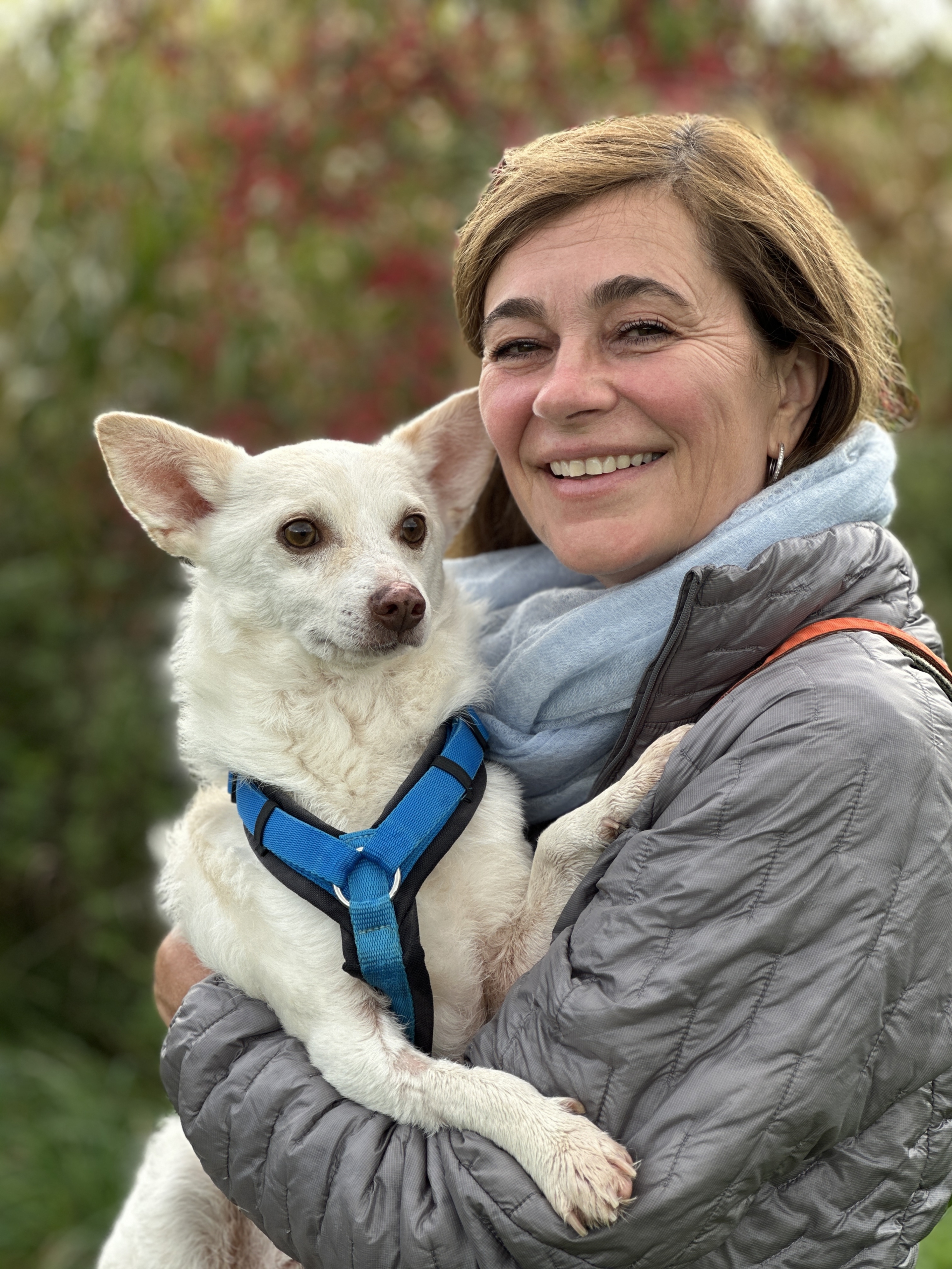 TIERARZT DR. INA HIPP | Mobiler Tierarzt in Starnberg | Münsing | Wolfratshausen | Geretsried | Icking | Eurasburg | Seeshaupt | Beuerberg